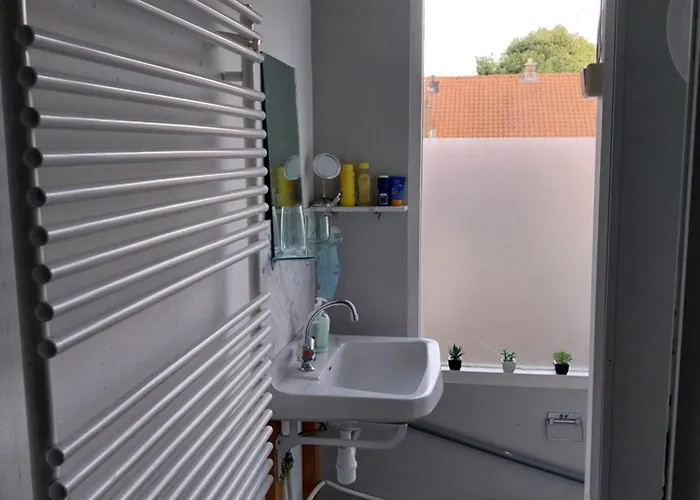 公寓 Huize Weltevree *